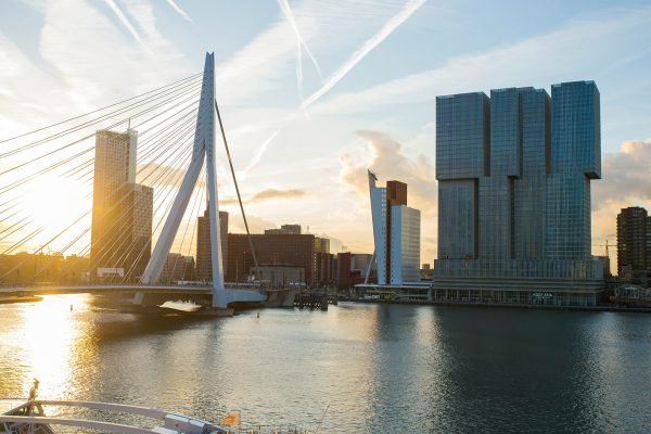 Website bureau Rotterdam