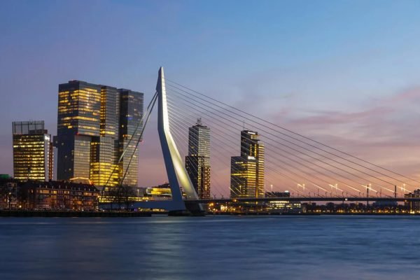 Wat is het beste websitebureau in Rotterdam